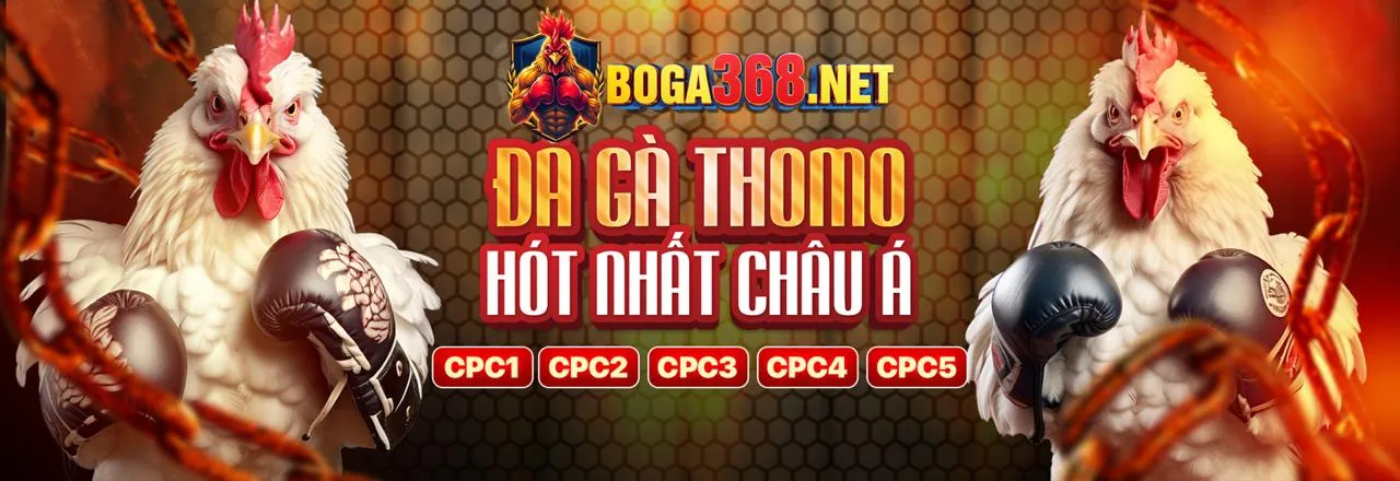 Khái niệm GDPR và tầm quan trọng đối với 80king