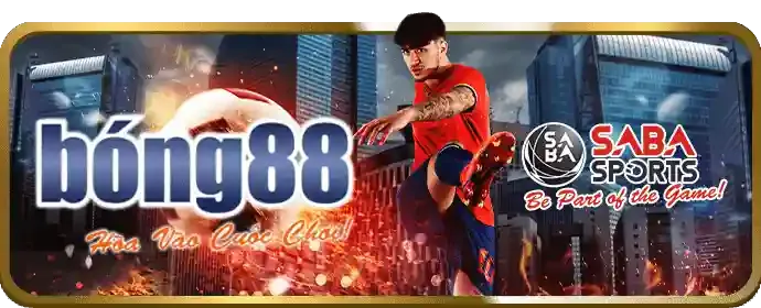 Cá cược các môn thể thao khác 80king